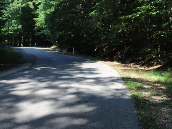 16 Spring Valley Rd Lot 16, Beulah, MI 49617