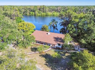 201 Gornto Lake Rd, Brandon, FL 33510