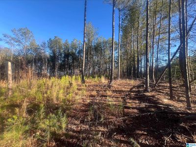 LOT 2 Crisstown Rd, Mc Calla, AL, 35111