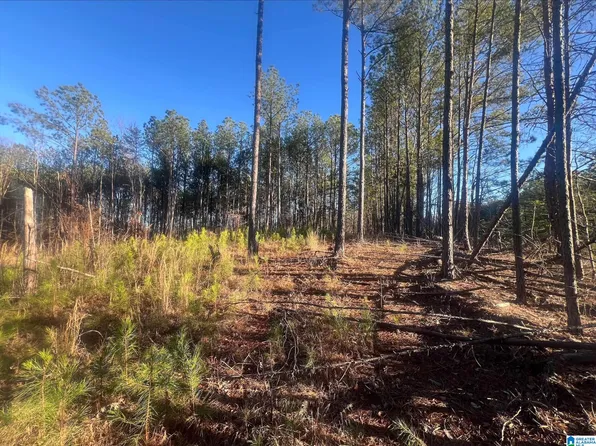 2 Crisstown Rd, Mc Calla, AL 35111