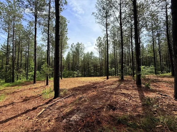0 Spokelay Rd Lot 2, Spencer, TN 38585