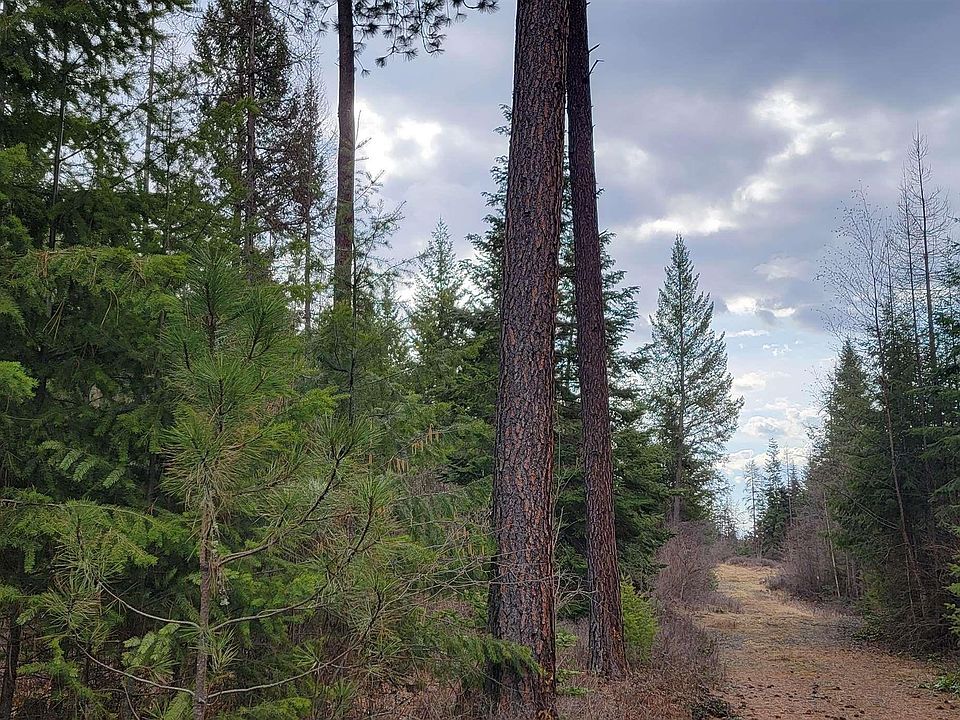 Nna Bootlegger Ln PARCEL 1, Bonners Ferry, ID 83805 MLS 20220537