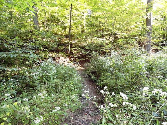 3rd image of 8351 W County Road 500 N