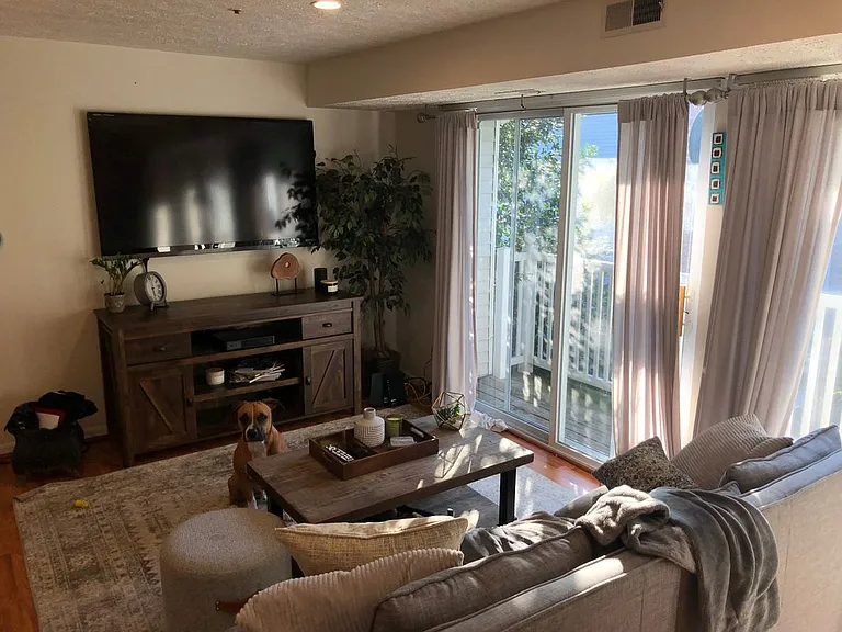 503 Palmtree Dr #10 — Photo 5
