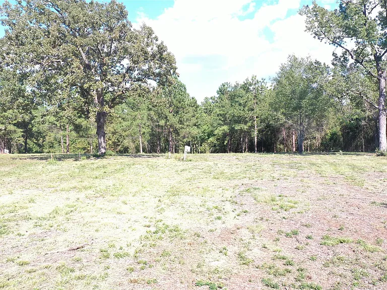 185 S FM 356 W — Photo 16