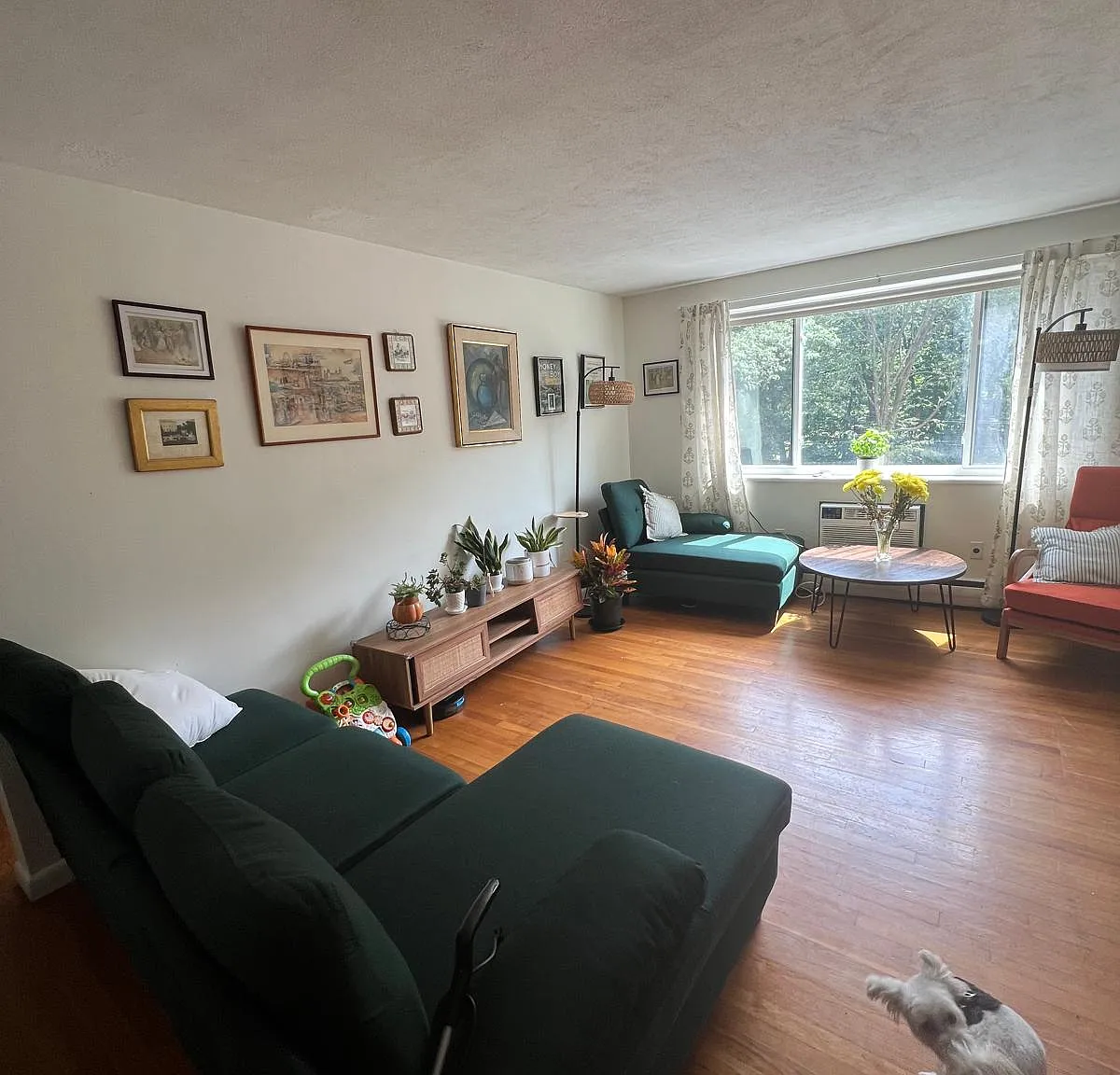 2 bed, $3,000 — Photo 2