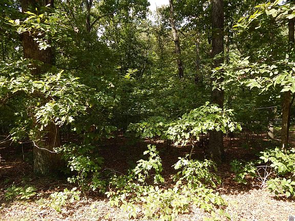 4th image of 25 Imogene Dr