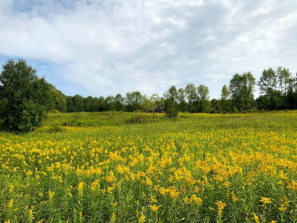 1st image of 1075 County Road 24