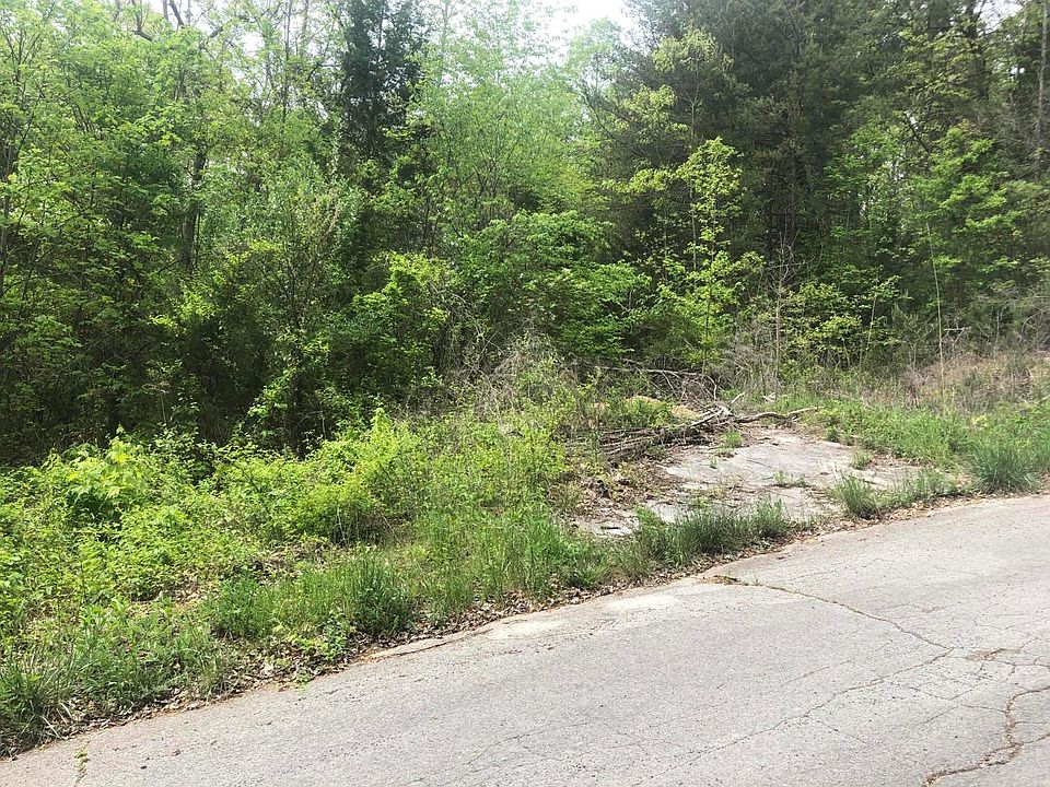 2nd image of Poplar Dr
