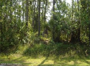 417 Wiltshire Ave SW, Palm Bay, FL 32908