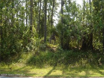 417 Wiltshire Ave SW, Palm Bay, FL, 32908
