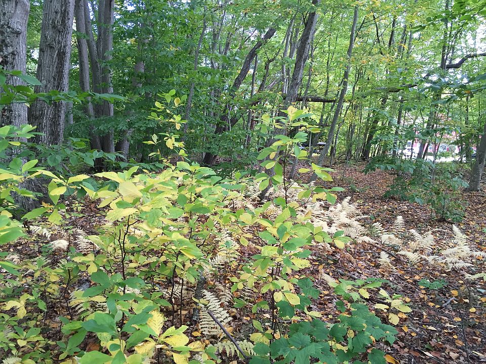 2nd image of 7 Willow Brook Farm Rd