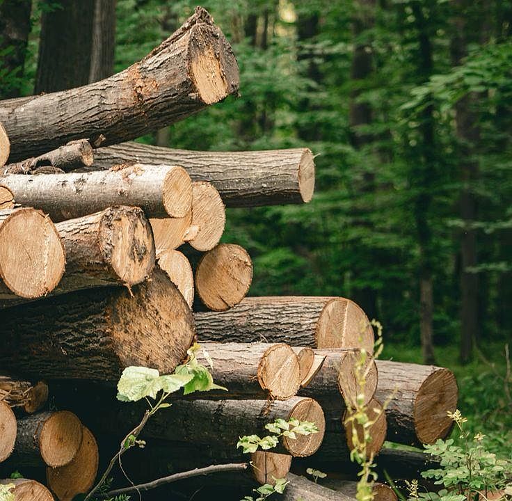 1st image of 0 N Coonhunters Rd