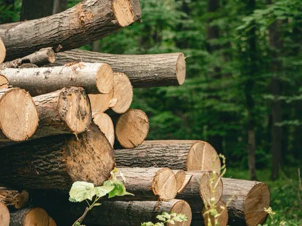 0 N Coonhunters Rd, Batesville, IN 47006