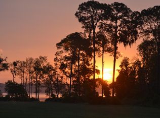 43914 Doctors Cove Rd, Altoona, FL 32702