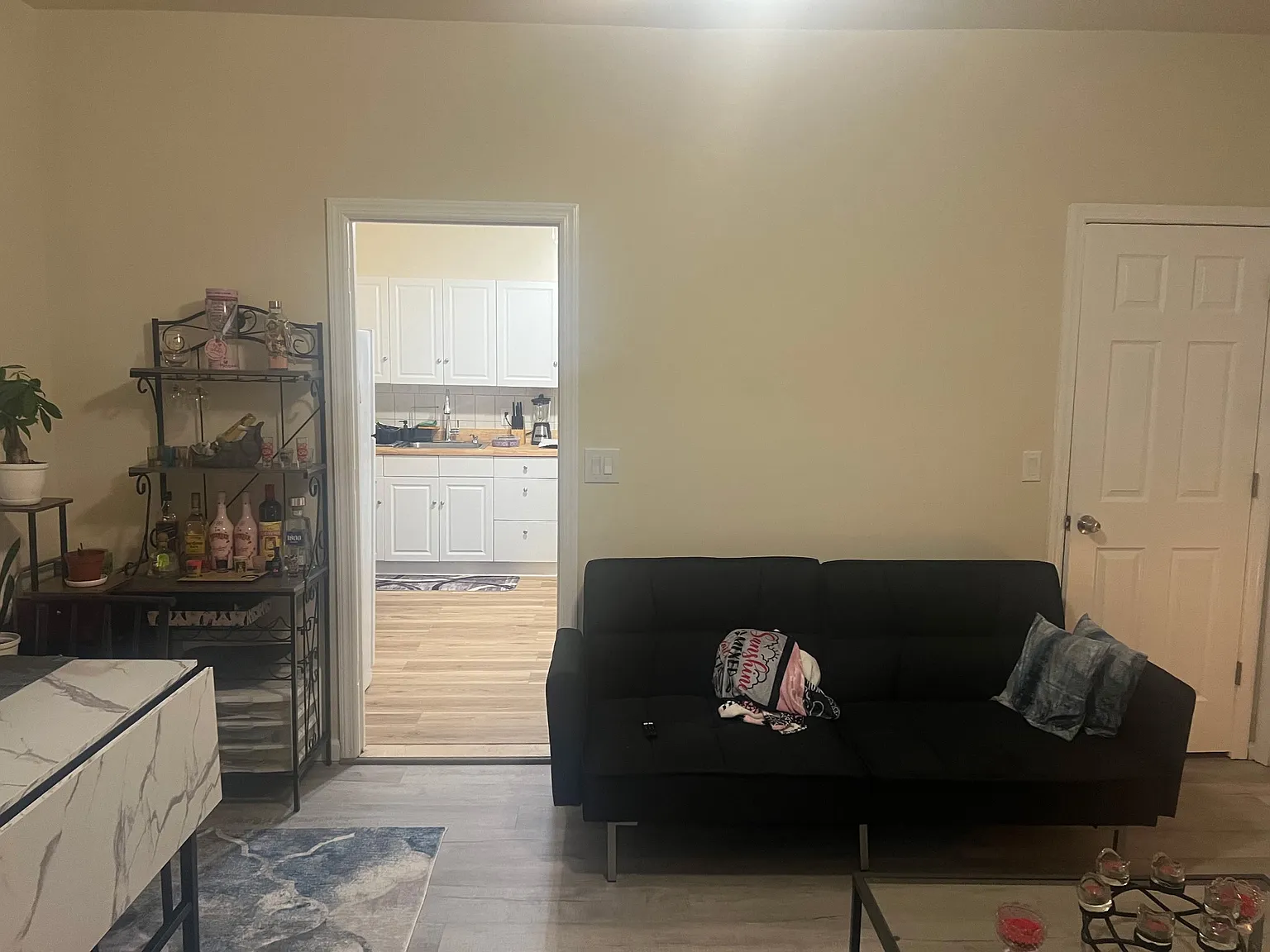1 bed, 700 sqft, $1,800 — Photo 4