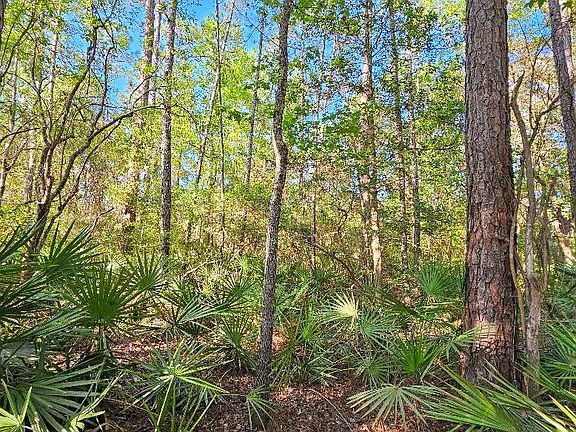 3rd image of 0 SE 68th Ter Lot 23