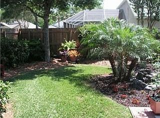 Another view of backyard