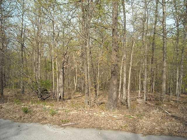 2nd image of Kobye Ln