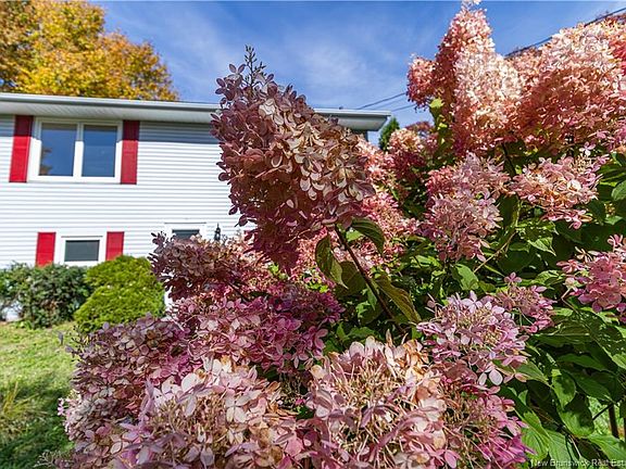 3rd image of 10 Birch Ln