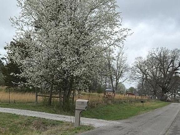 5th image of 340 Old Spring Creek Rd