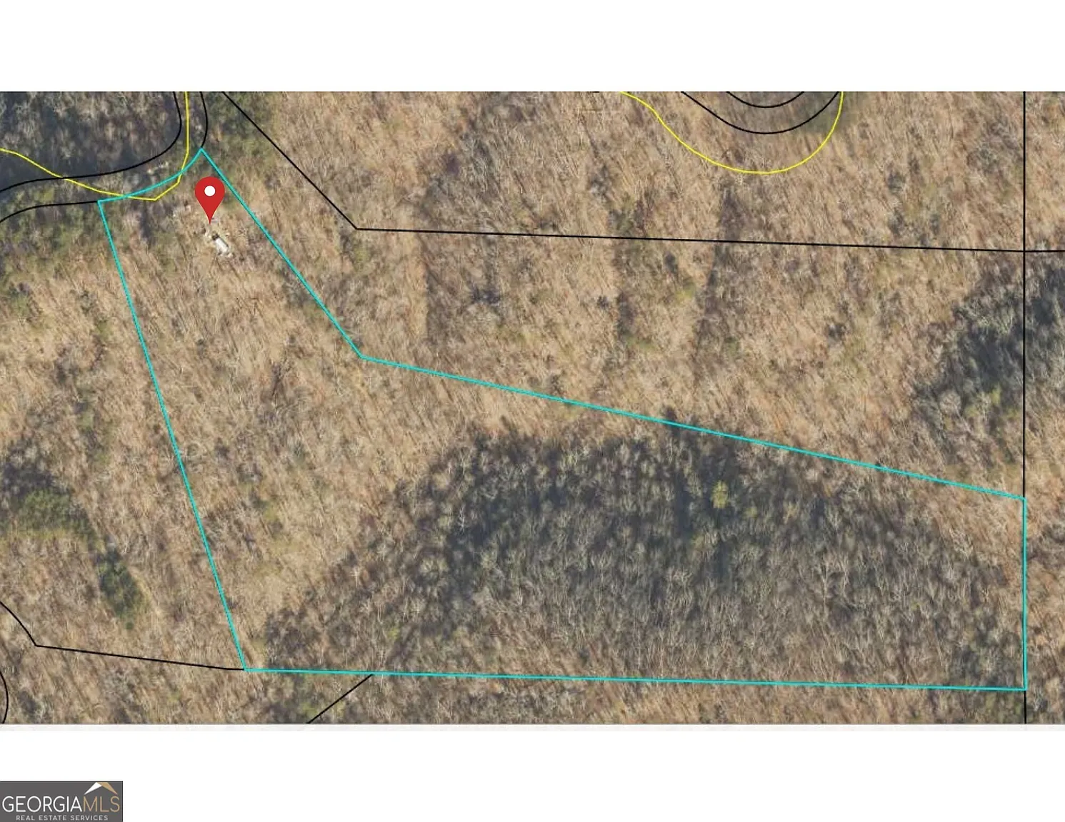 1251 Rambling Rd photo 1