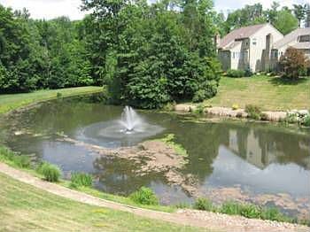 5th image of 95 Royal Oak Dr
