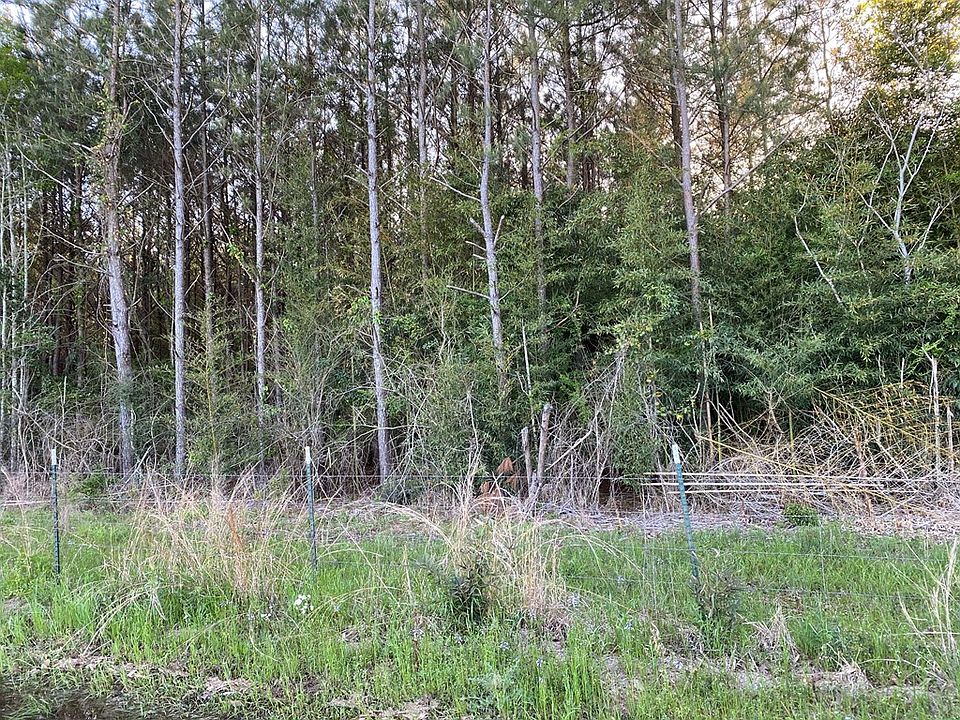 2nd image of 0 W Creek Rd