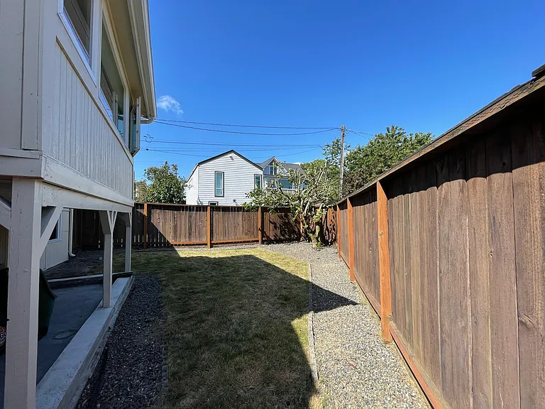 Back yard