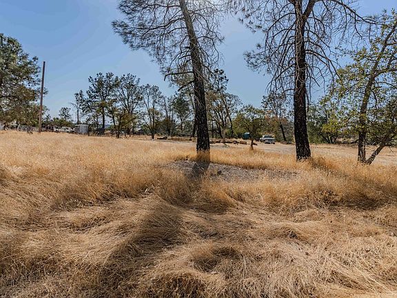2nd image of 12874 Stedman Ranch Rd