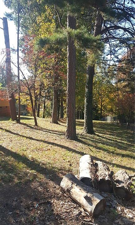 1st image of 221 Willowood Dr