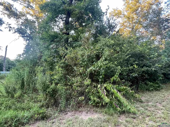 Willowood Trl, Gilmer, TX 75645
