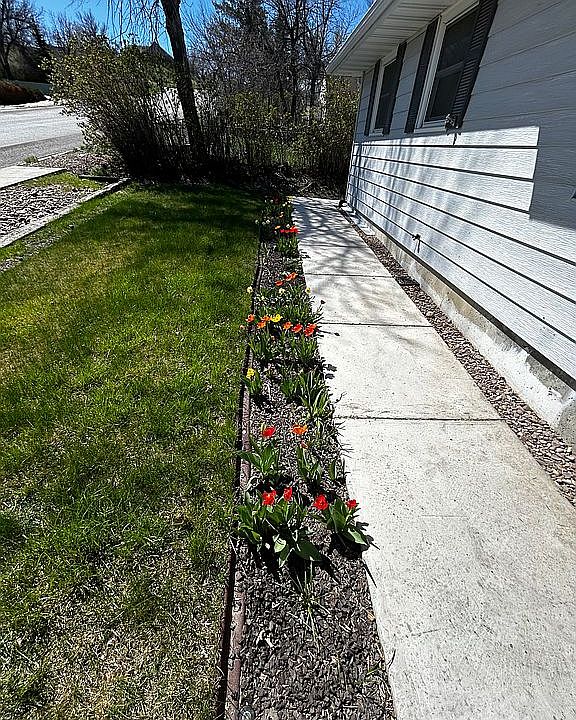 2nd image of 411 6th Ave S