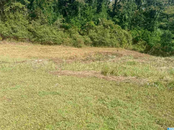 1150 Arden Pl Lot 1A, Birmingham, AL 35243