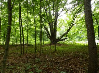 Jo Ca Ln PARCEL P, Vanderbilt, MI 49795