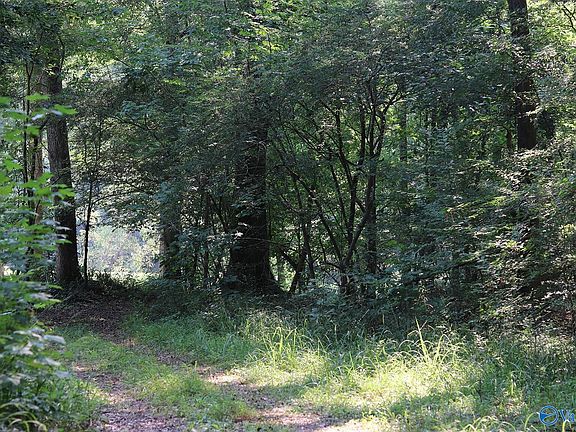 2nd image of Finlen Rd