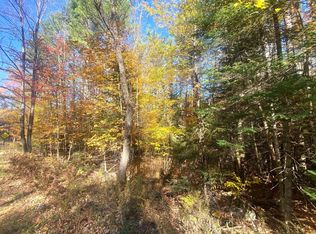 L36 County Route 29, Minerva, NY 12851