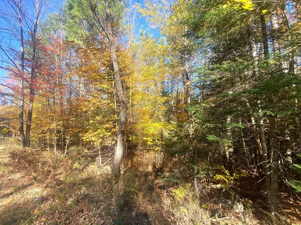 L36 County Route 29, Minerva, NY 12851