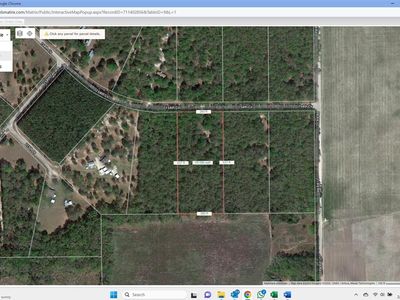 154th Cir LOT 35, Live Oak, FL, 32060