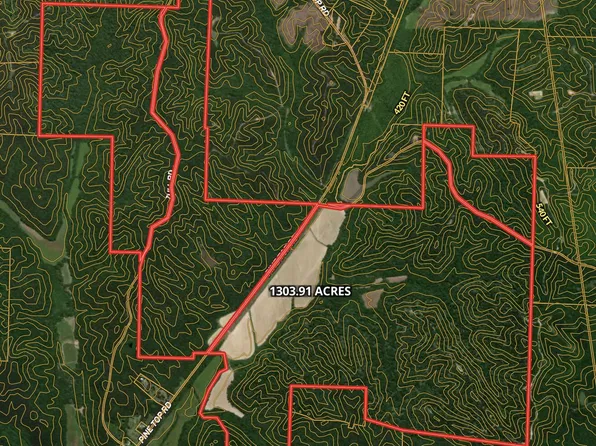 Pine Top Rd, Hornsby, TN 38044