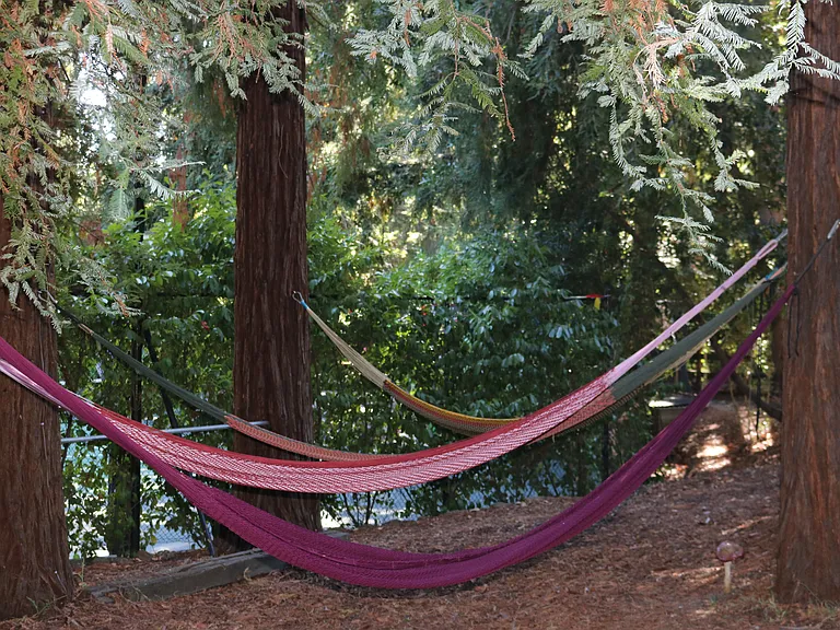 Redwood Ln — Photo 8