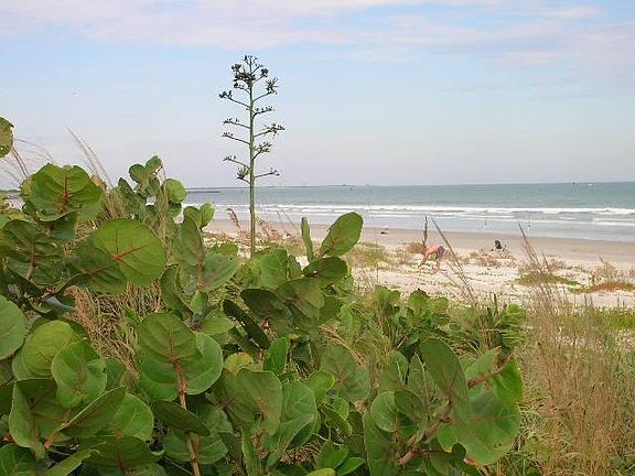 Beach front