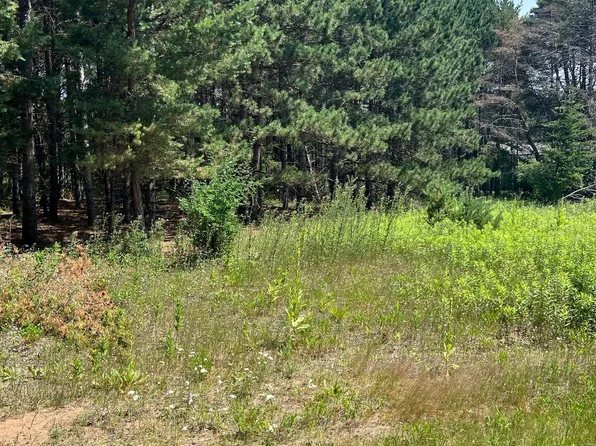 Thomas Dr, Little Falls, MN 56345