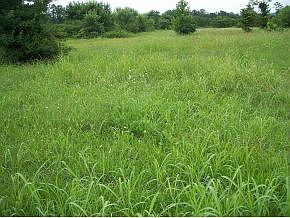 5th image of Camp Creek Road