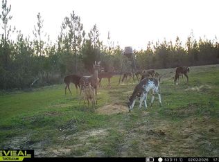 Autumn Rd, Malone, FL 32445