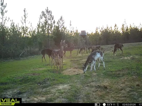 Autumn Rd, Malone, FL 32445
