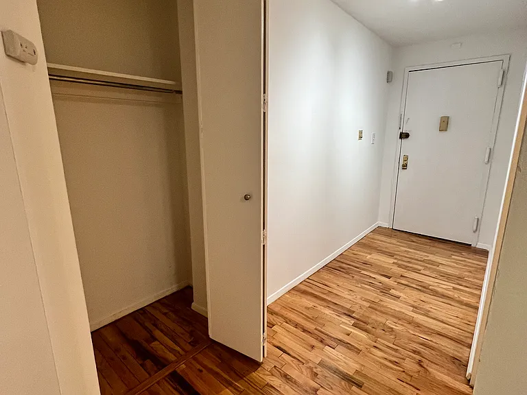 333 E 95th St #1F — Photo 8