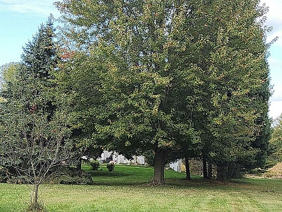 2nd image of 9819 E W Ave