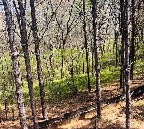 2nd image of 3279 Tommy Dillaed Road