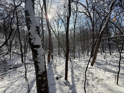 197XX Proctor Rd NW, Elk River, MN, 55330